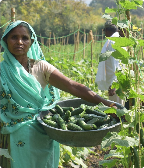 Drinking Water Schemes